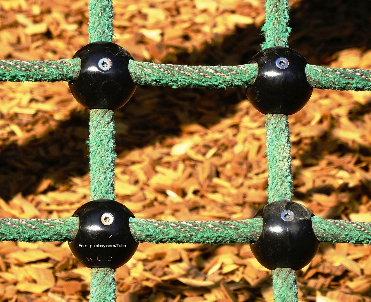 Ein Ausschnitt aus einem grünen Kletternetz. Im Hintergrund liegt buntes Herbstlaub